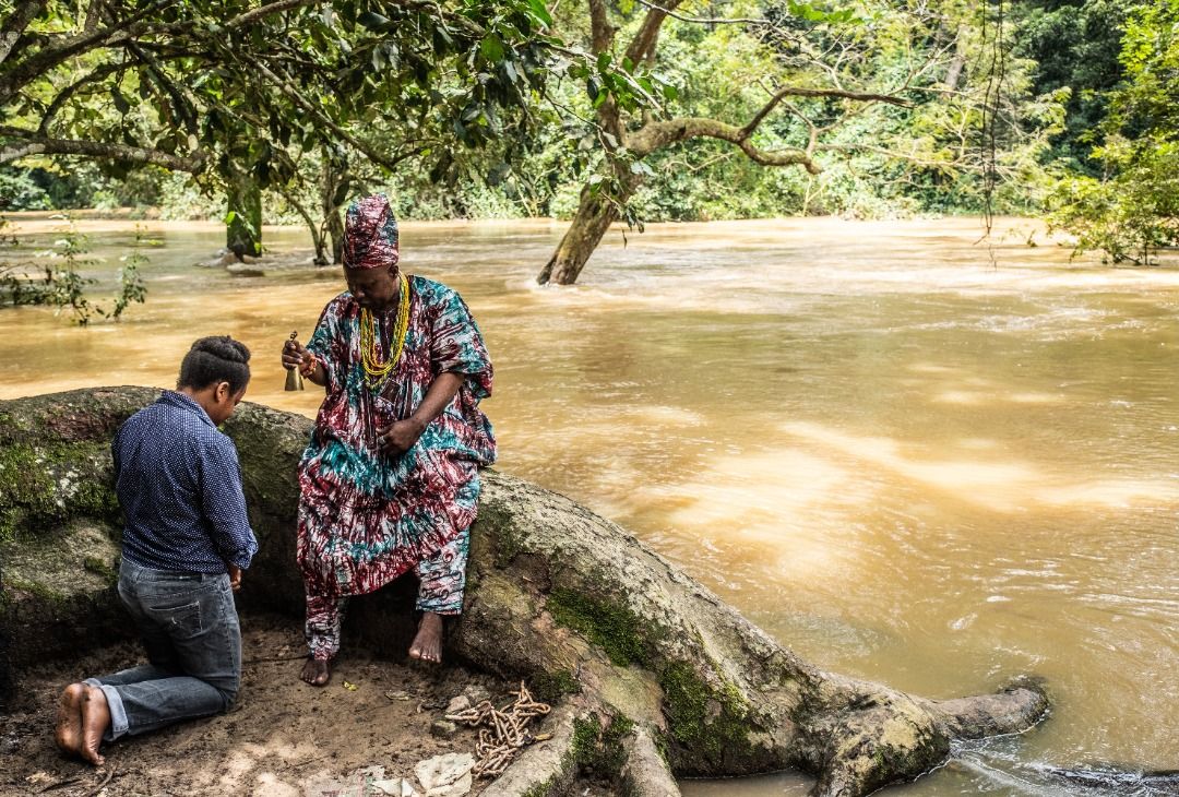 Google launches Osun Osogbo Sacred Grove's digital library