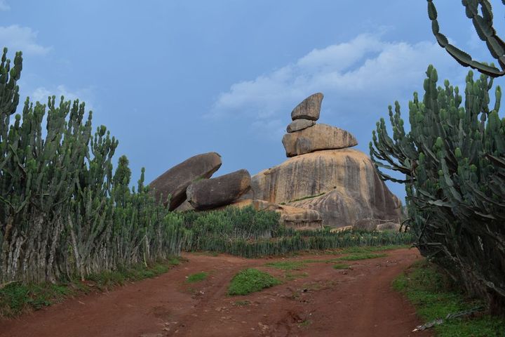 AFEN partners with Plateau Smart Tourism to digitize tourism in Plateau state